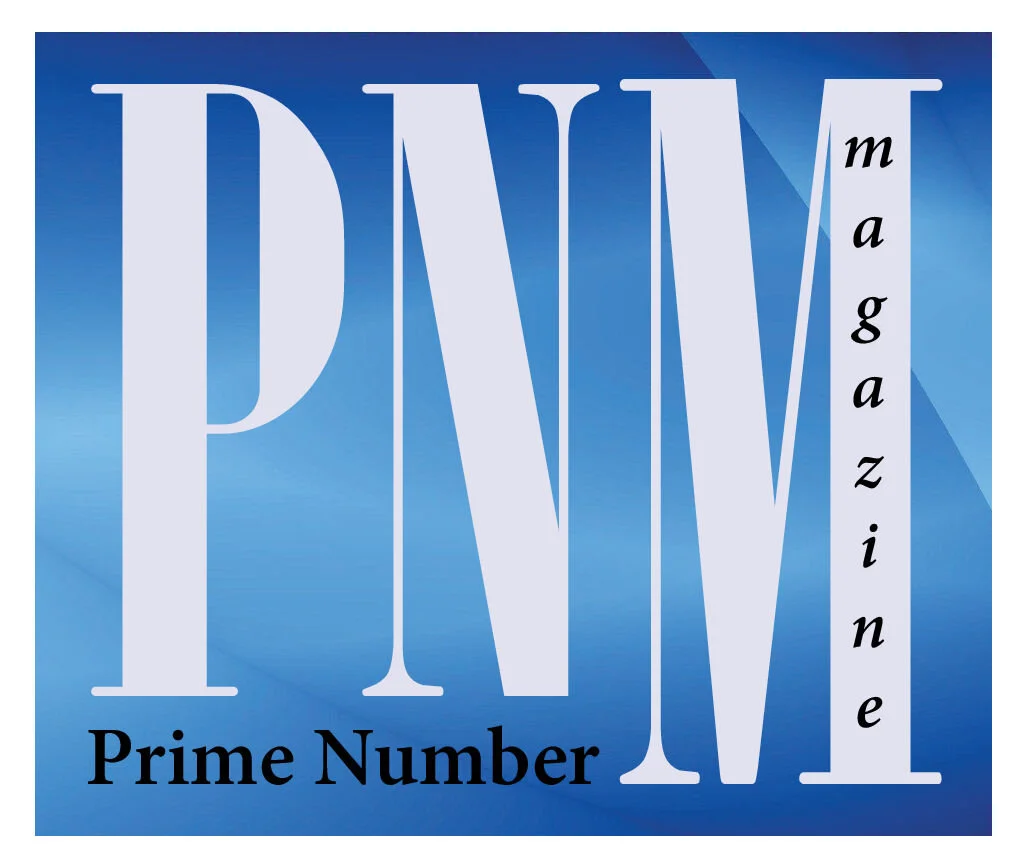 PNM logo Silver.jpg