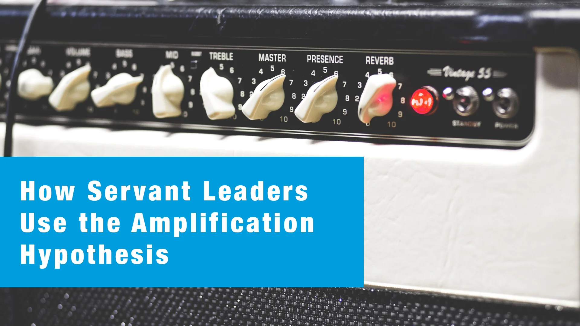 Amplification Hypothesis 1920x1080 .jpg