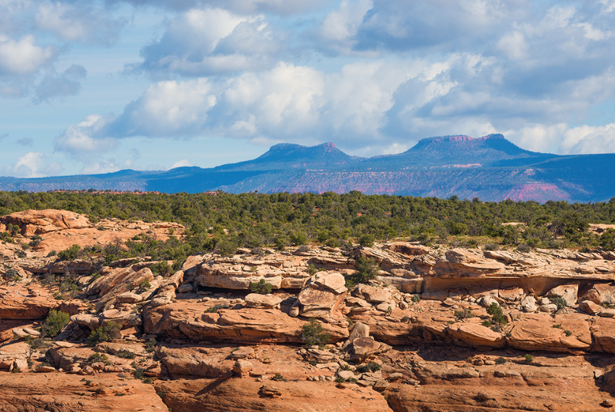 Bears Ears Buttes, Bears Ears National Monument - Courtesy of Earthjustice.org