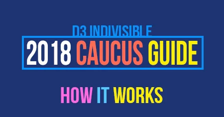 D3 CAUCUS GUIDE.jpg