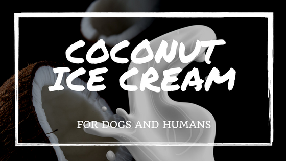 Is coconut ice cream bad for dogs online