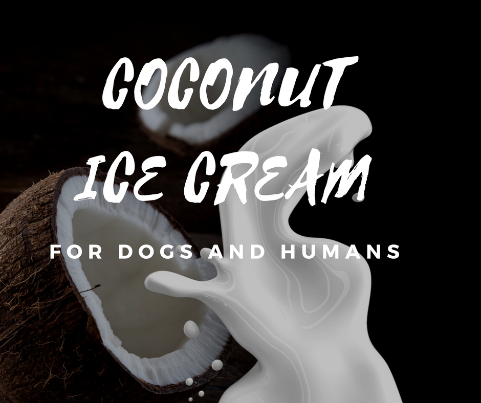 Coconut Ice cream for Dogs and Humans