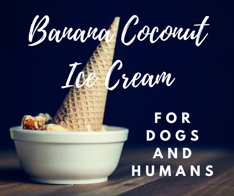 canine_musclework_banana_coconut_icecream.png