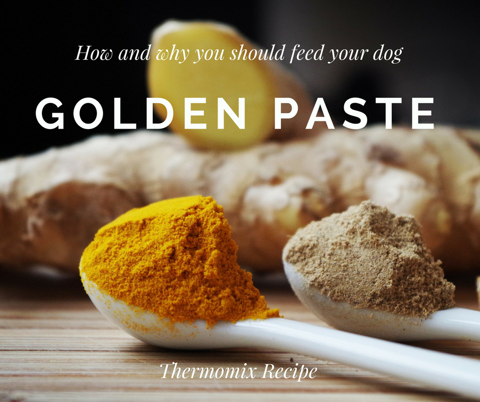 How and why you should feed your dog Golden Paste