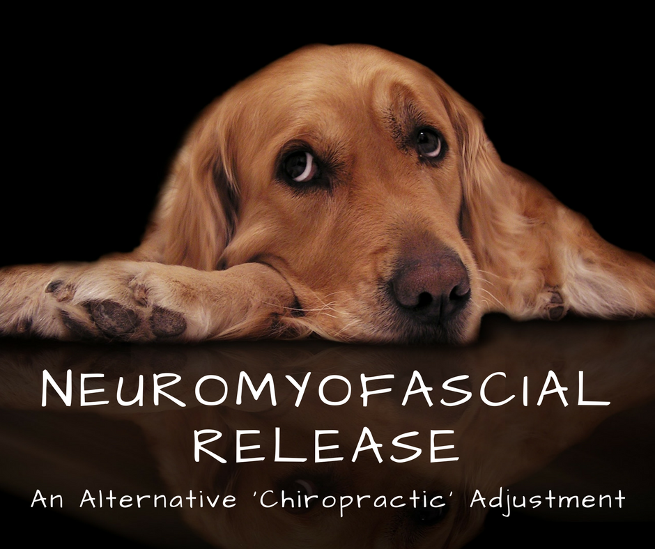 neuromyofascial release-2.png