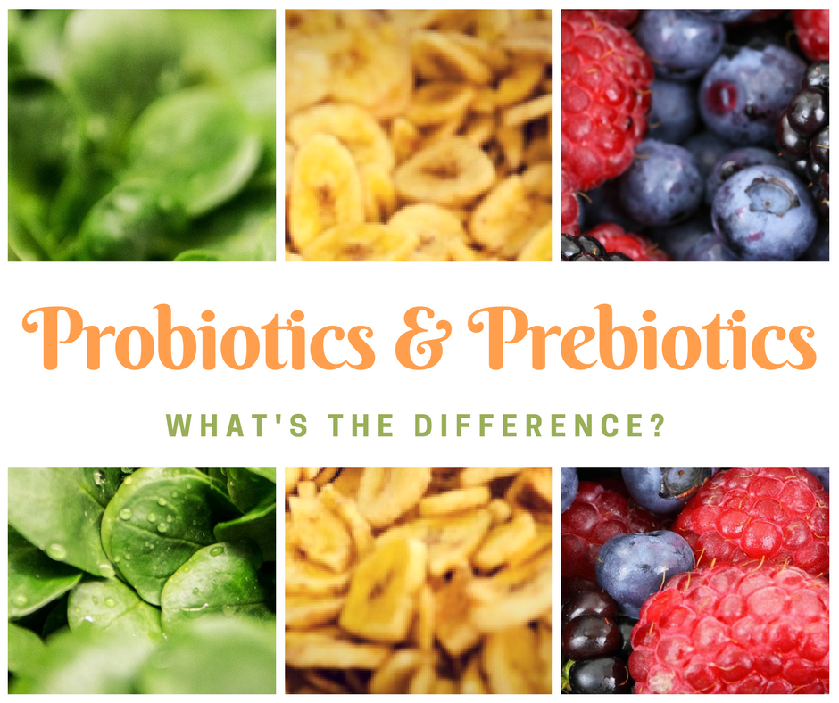 Probiotics and Prebiotics.png