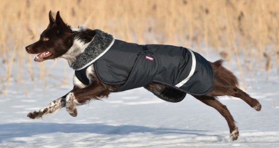 Pomppa jacket