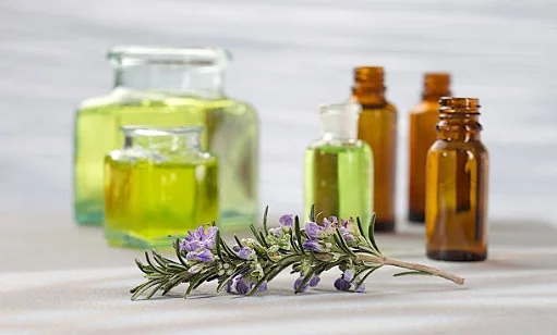 anti fly spray for dogs