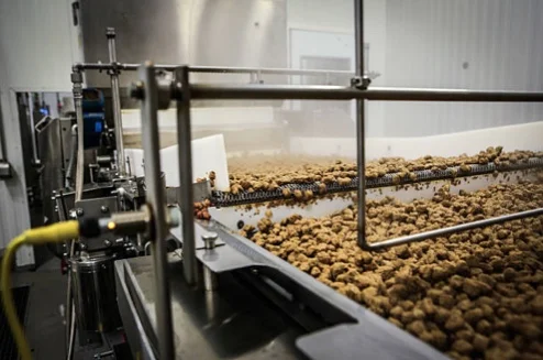 Dead food vs live food rich in enzymes