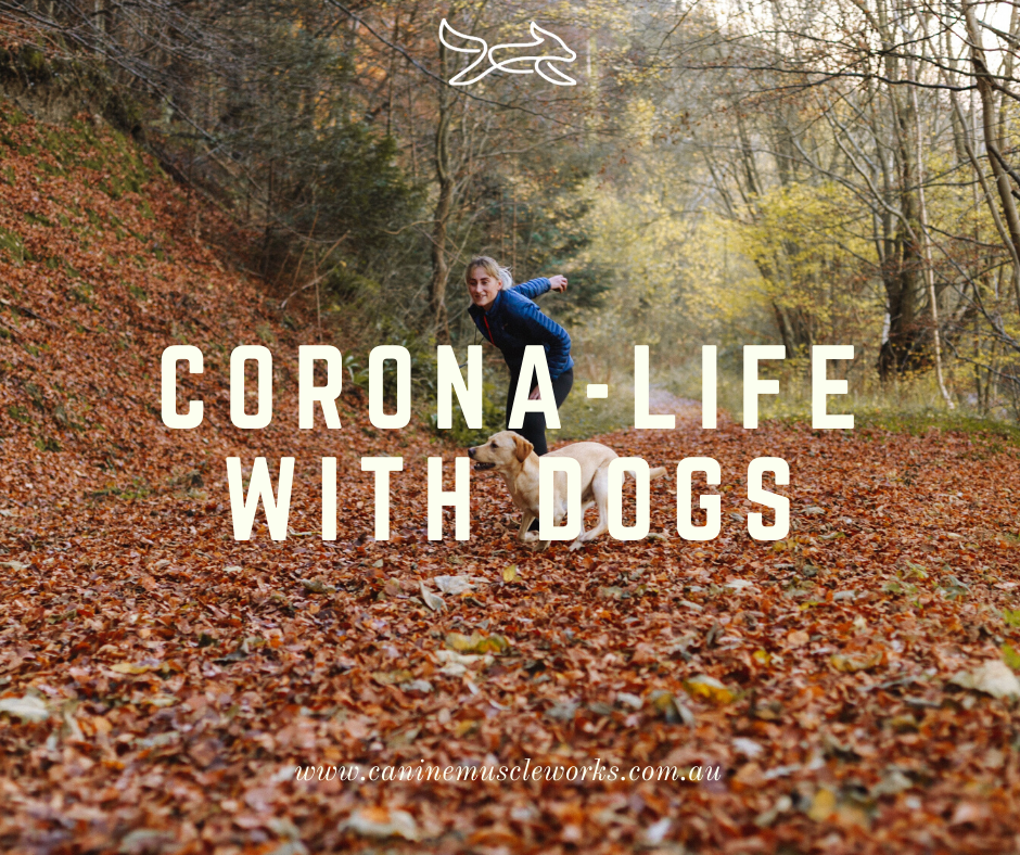 Corona-life with Dogs