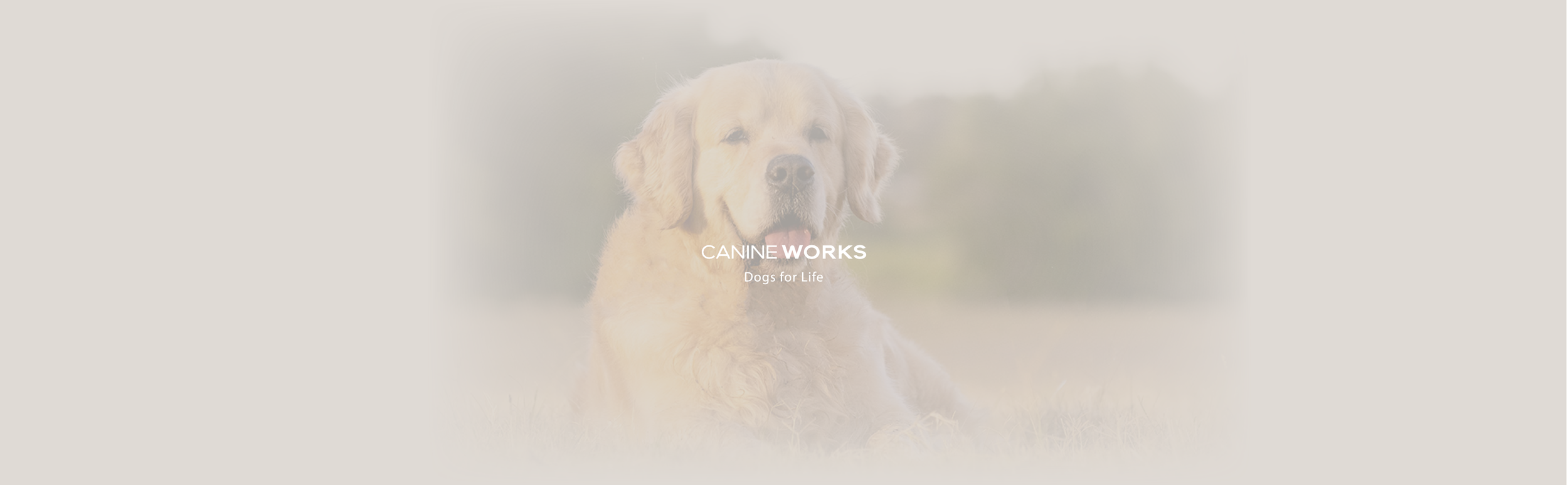 canine_works_jackie_crawford_perth_banner_about.png