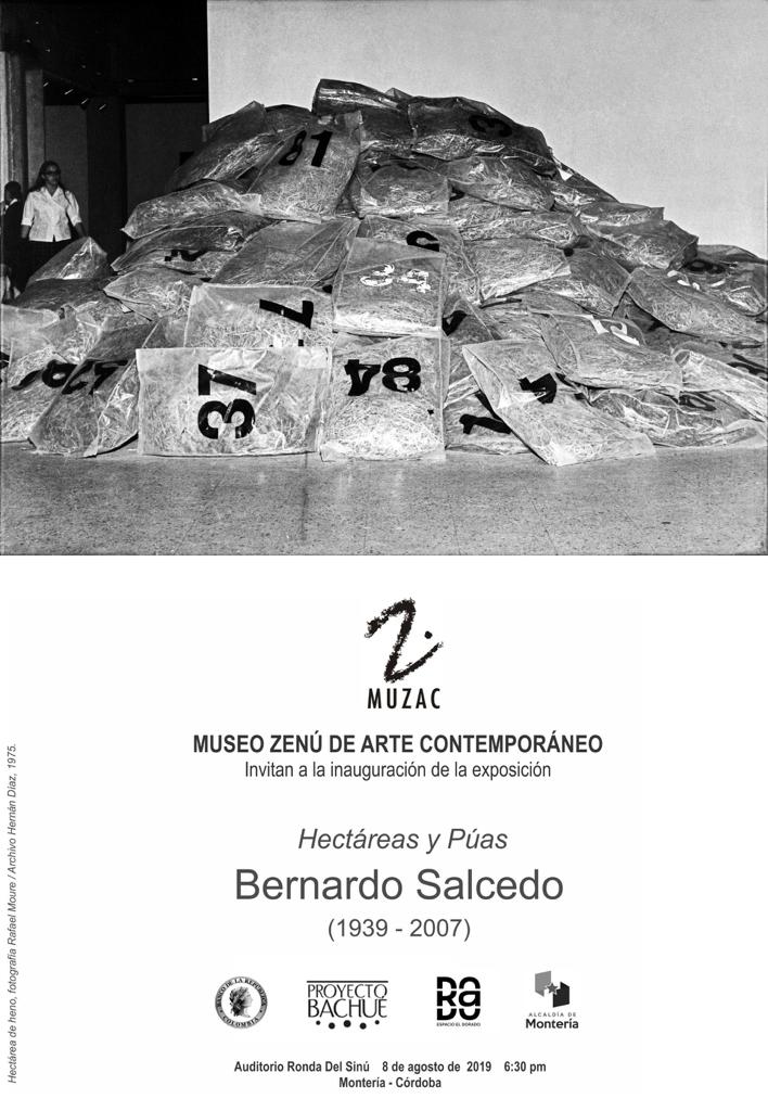 Hectáreas y Púas. Bernardo Salcedo (1939-2007) - Muzac