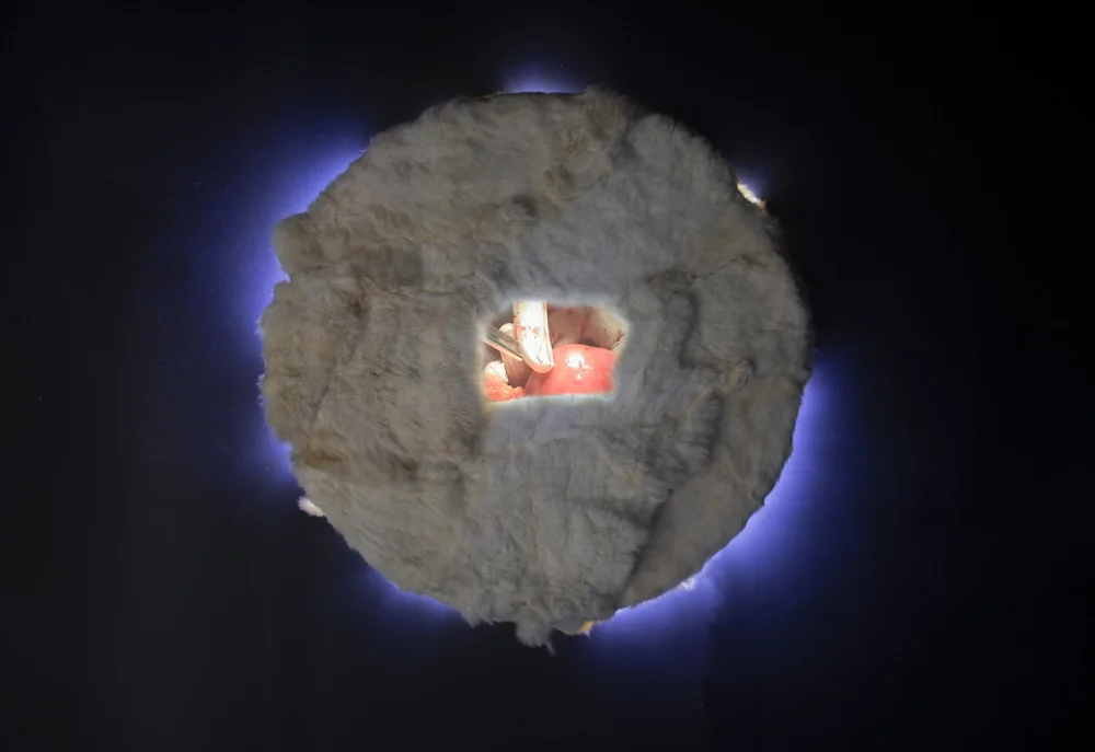 Eclipse