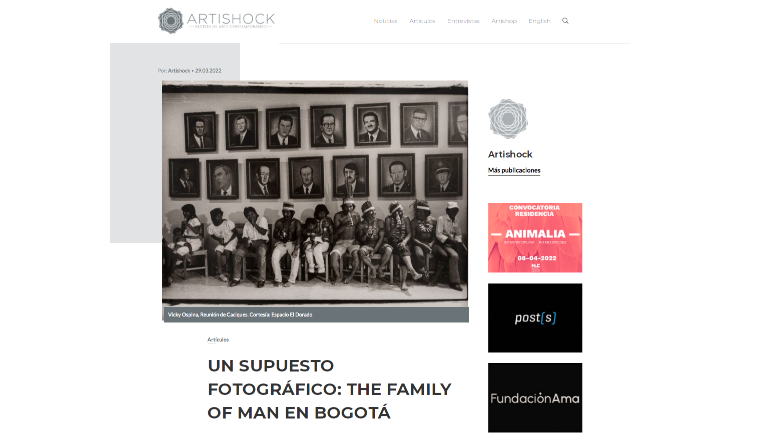 Artishock Revista