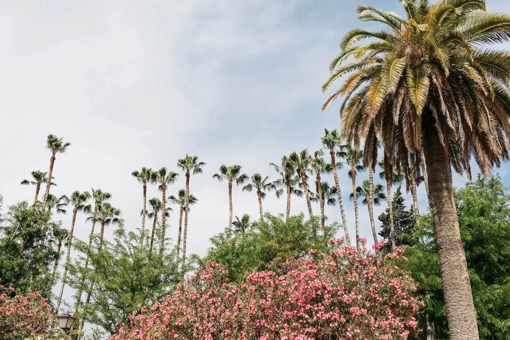 Yes, we’re saving these wonderful things. Photo Credit: Emma Croman