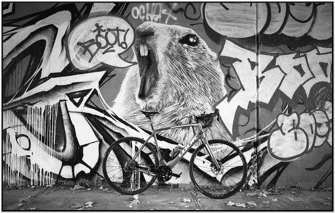  Montreal // Leica MP // Summicron-M 28mm // Kodak Trix 400 