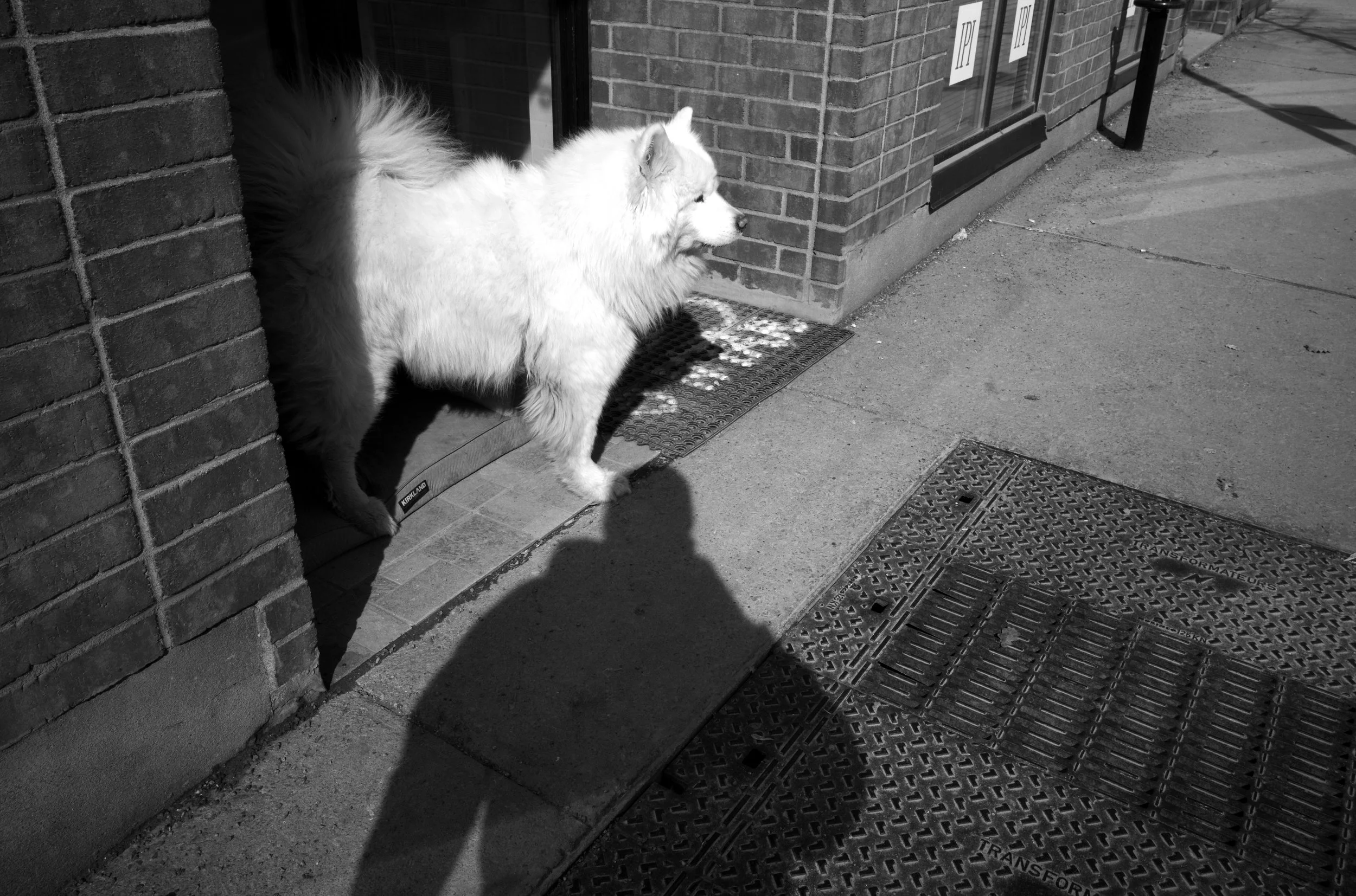  Montreal + Leica M10 Monochrom + Summicron-M 28mm ASPH 