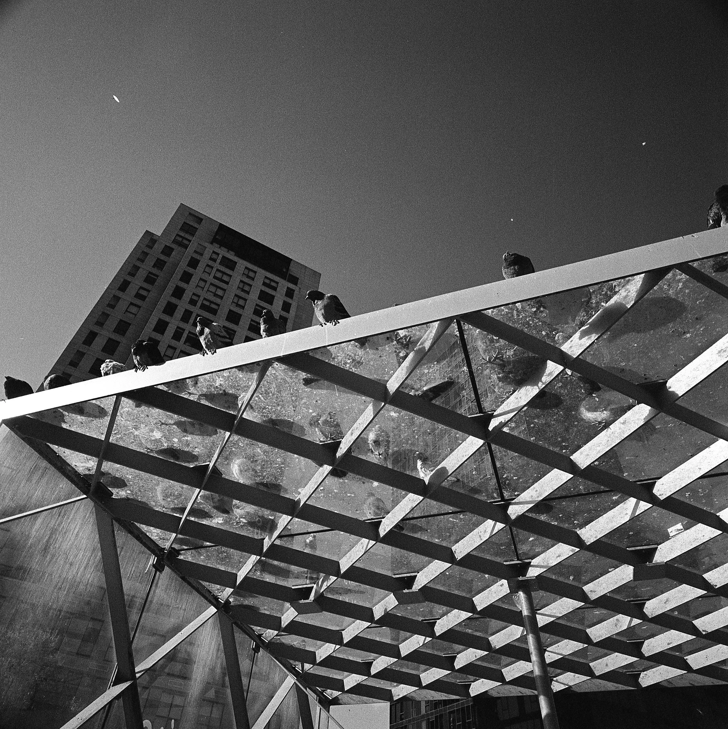  Montreal + Hasselblad SWC + Kodak Trix 400 