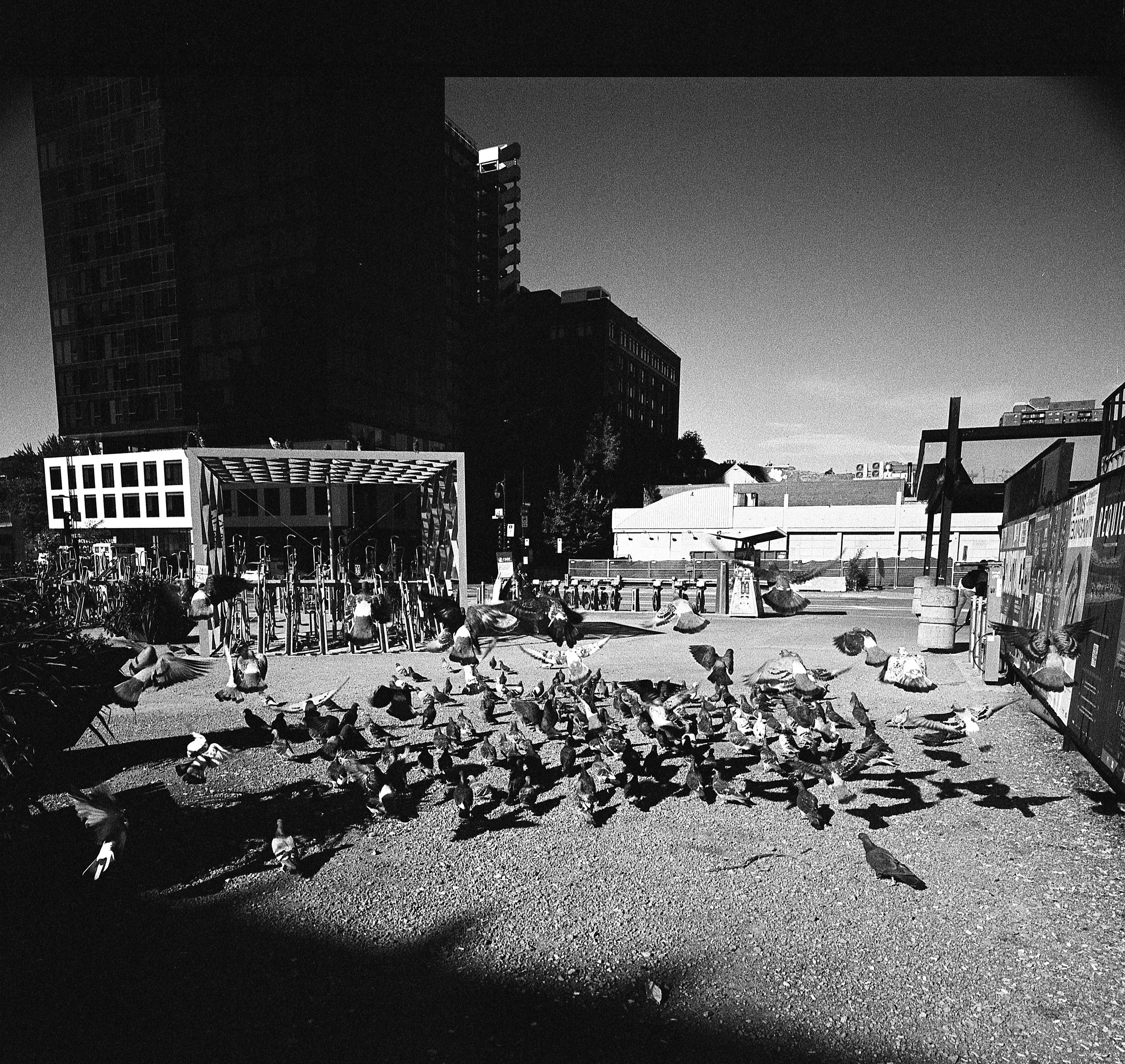  Montreal + Hasselblad SWC + Kodak Trix 400 
