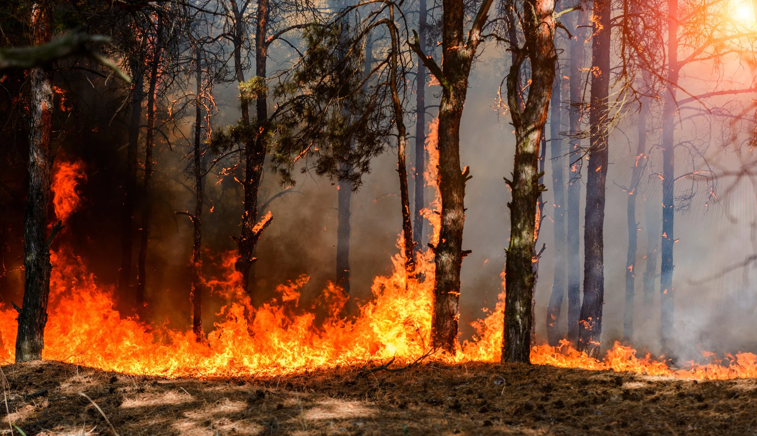 California’s Wildfire Crisis: Risk Modeling and Individualization in Insurer Practices