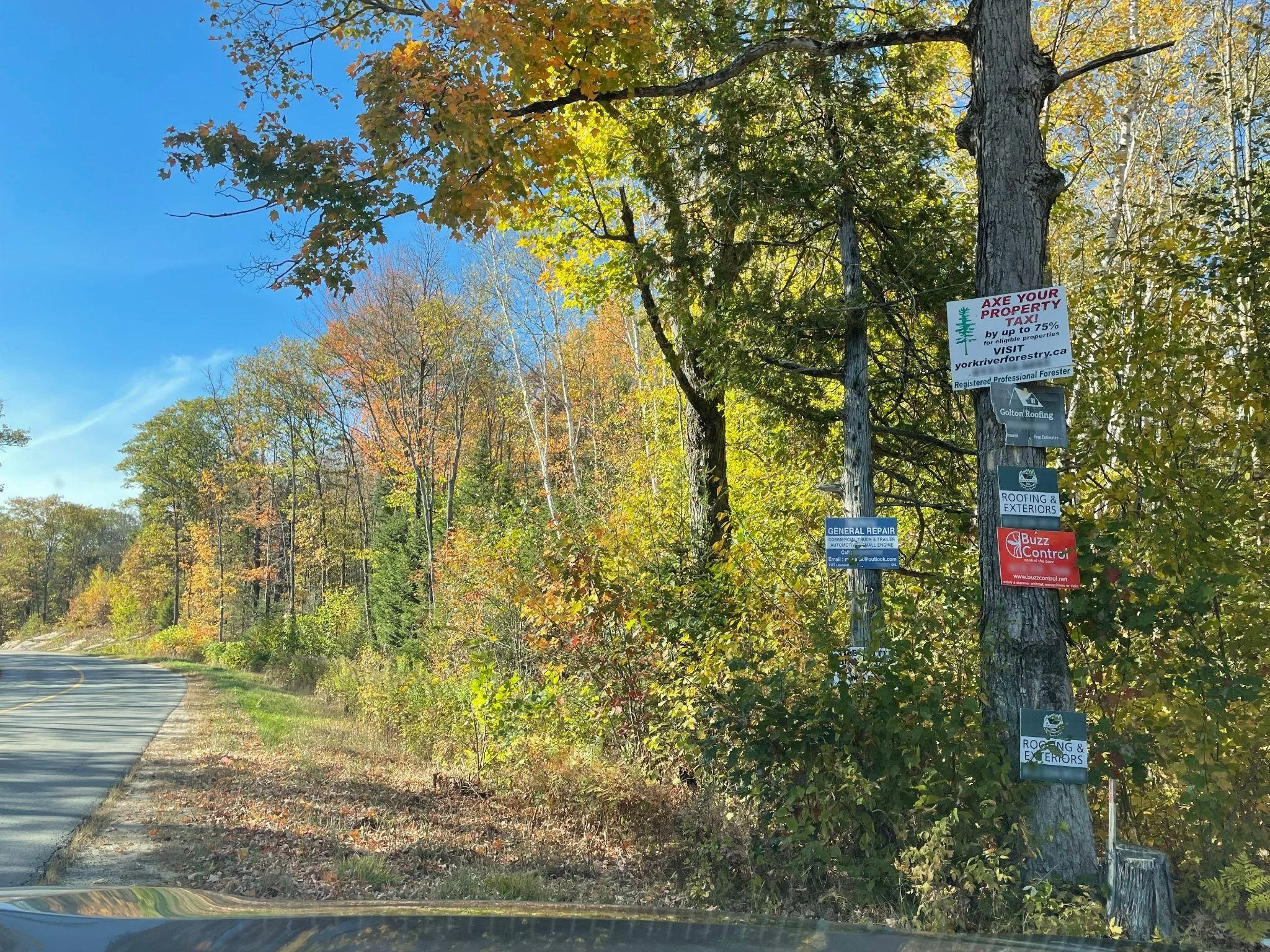 Road with signages