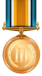 Image of a bronze medal