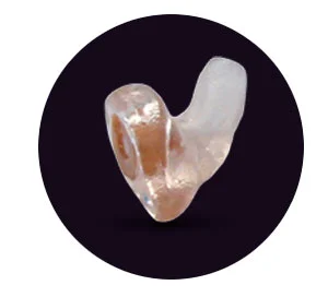 Musician Ear Plg