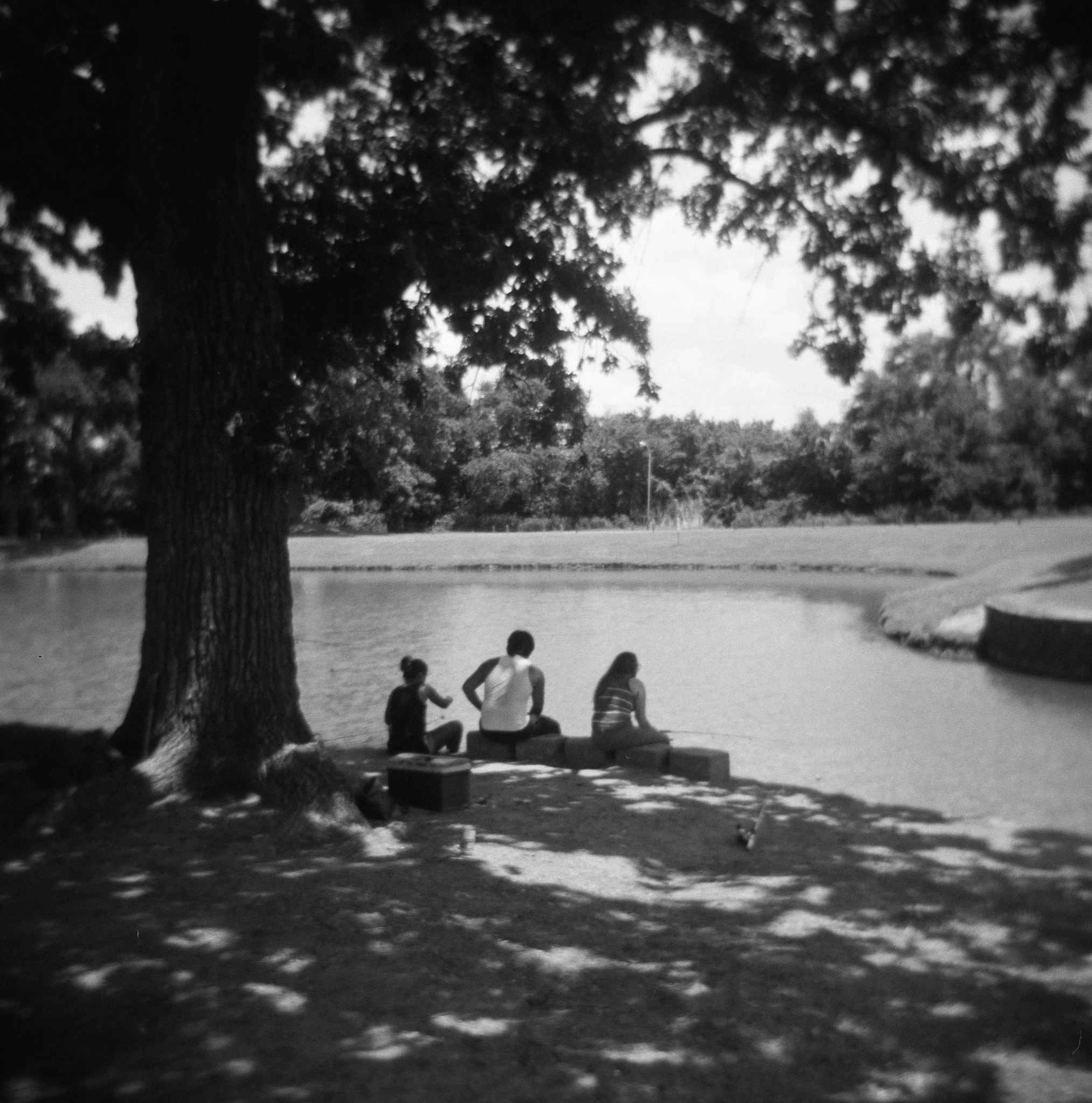 Holga