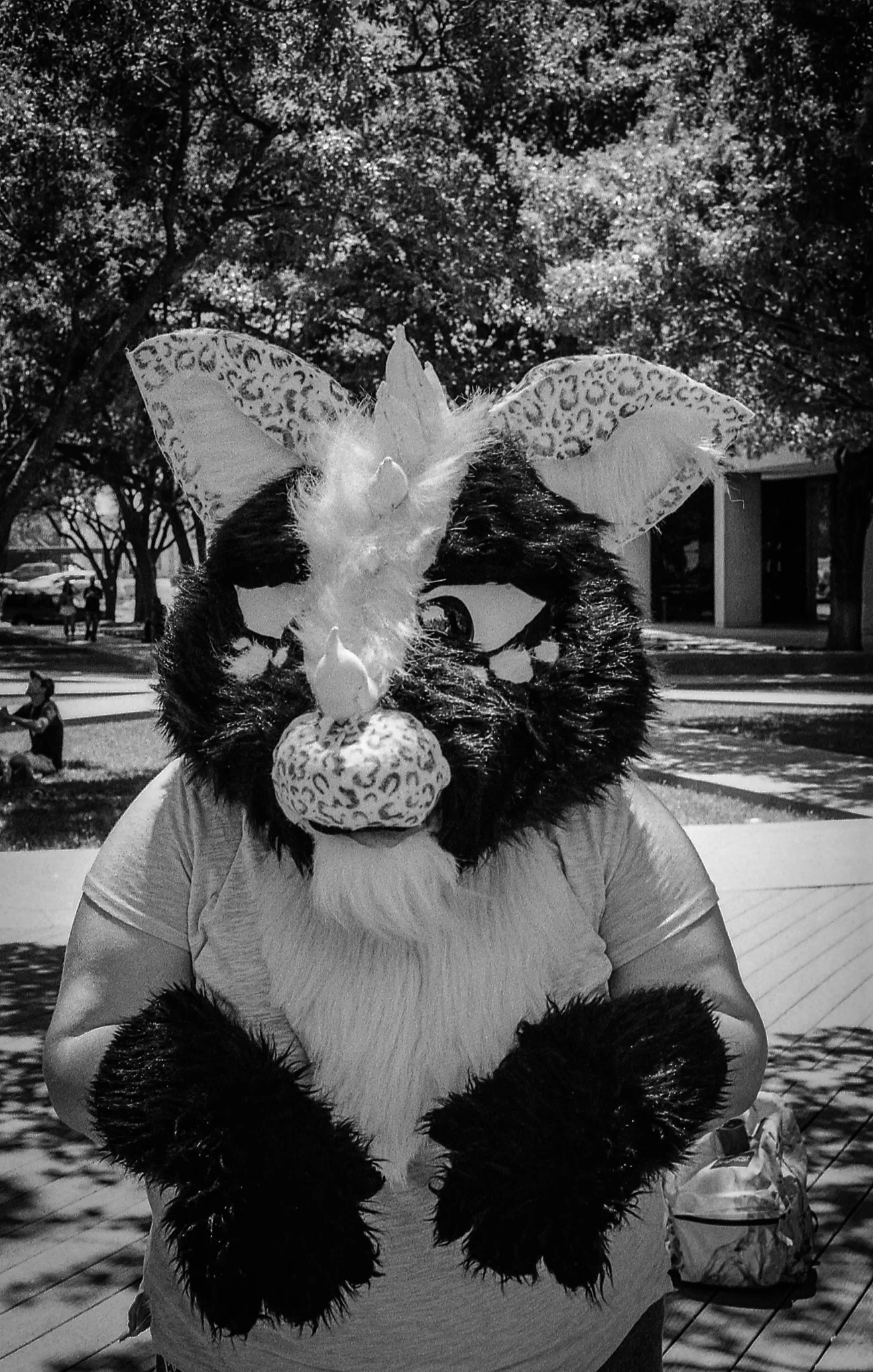 Legalize It - NORML March - Ft. Worth, TX - 2017