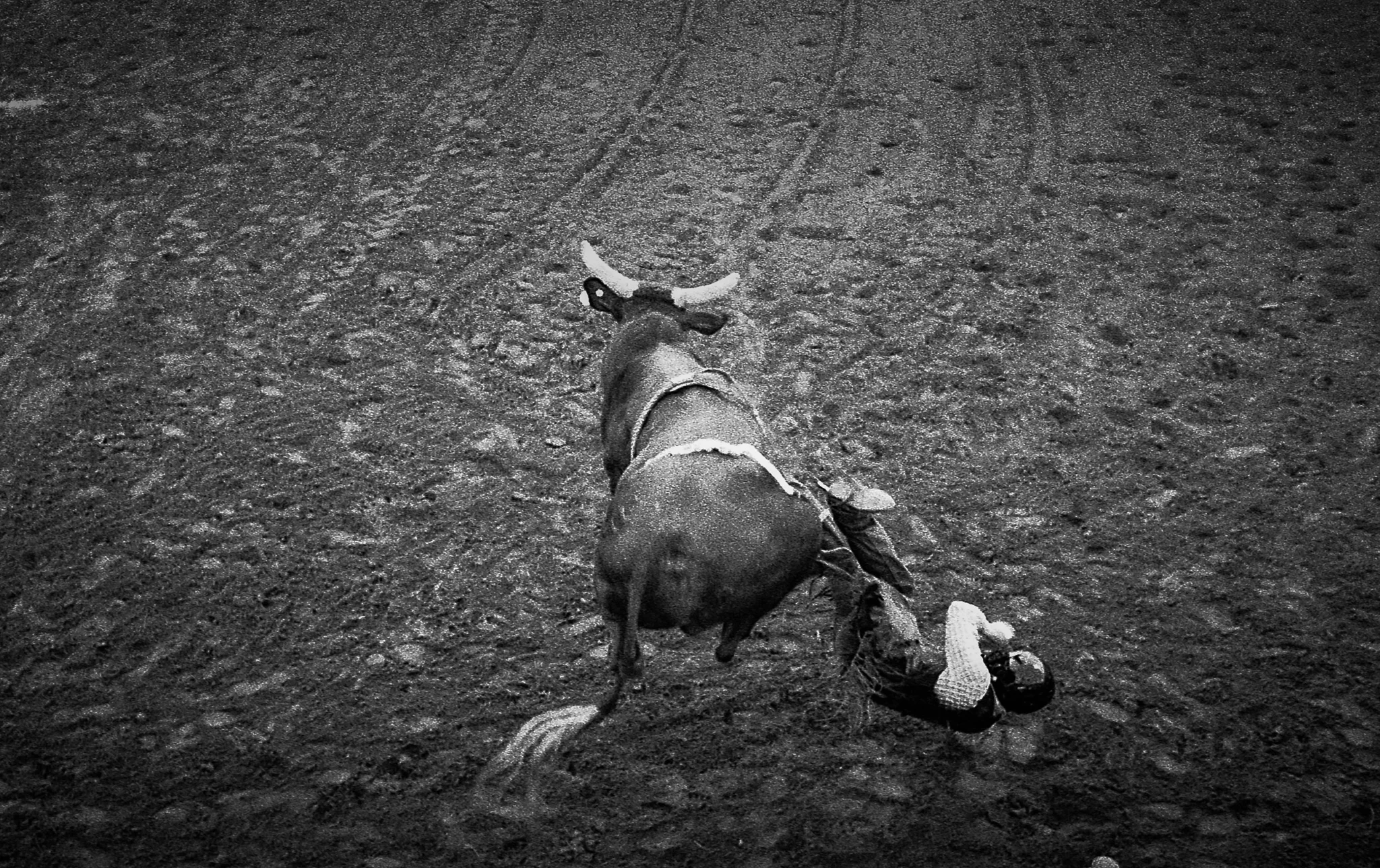 North Texas Fair and Rodeo -Denton, TX - 2018