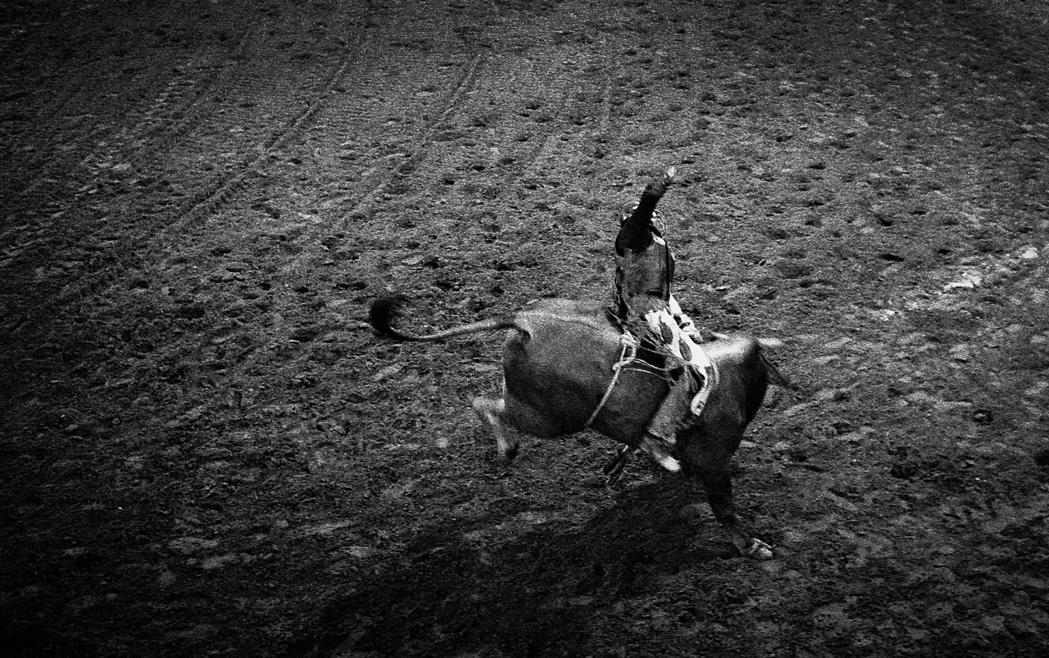 North Texas Fair and Rodeo -Denton, TX - 2018