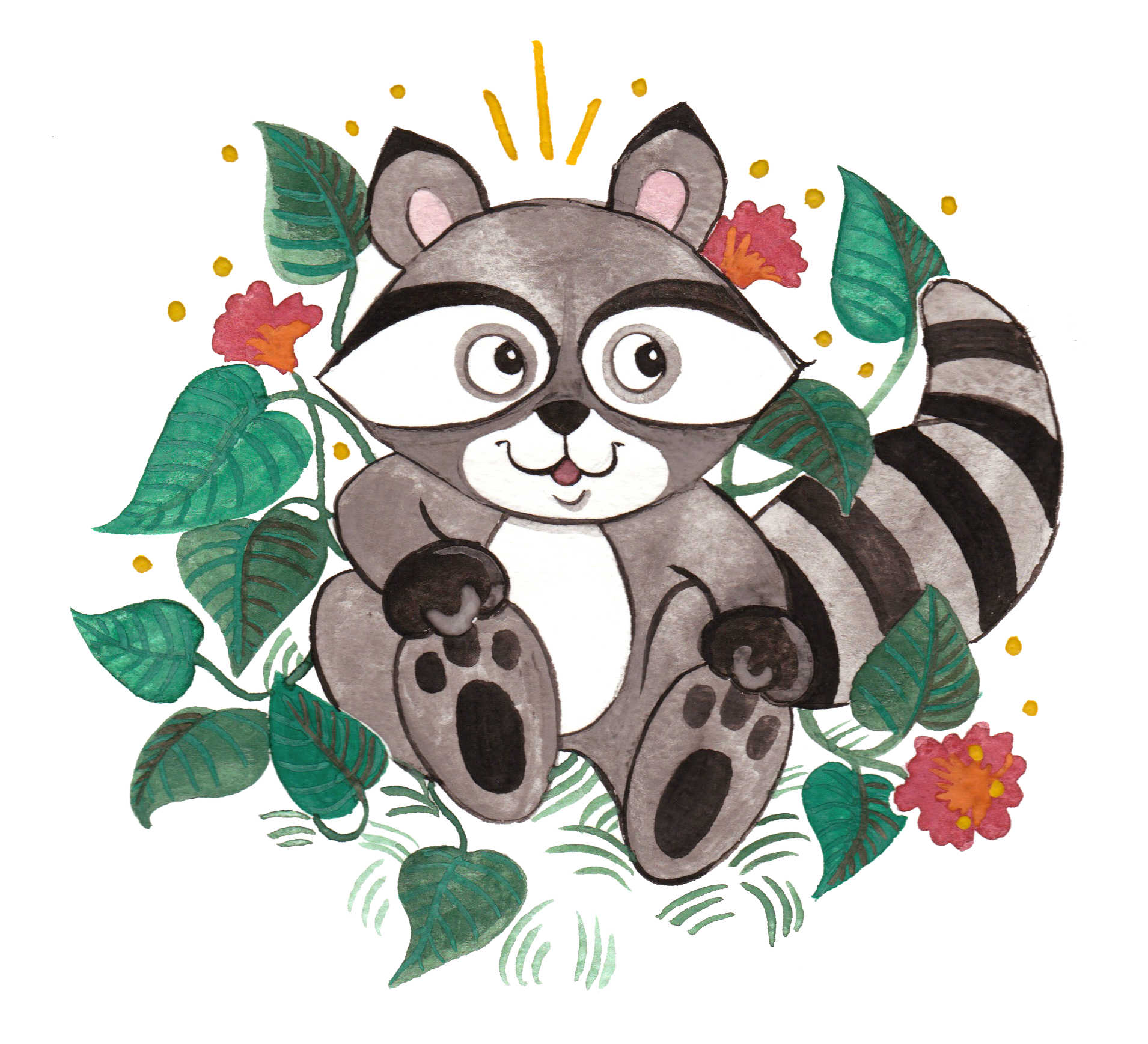 raccoon.png