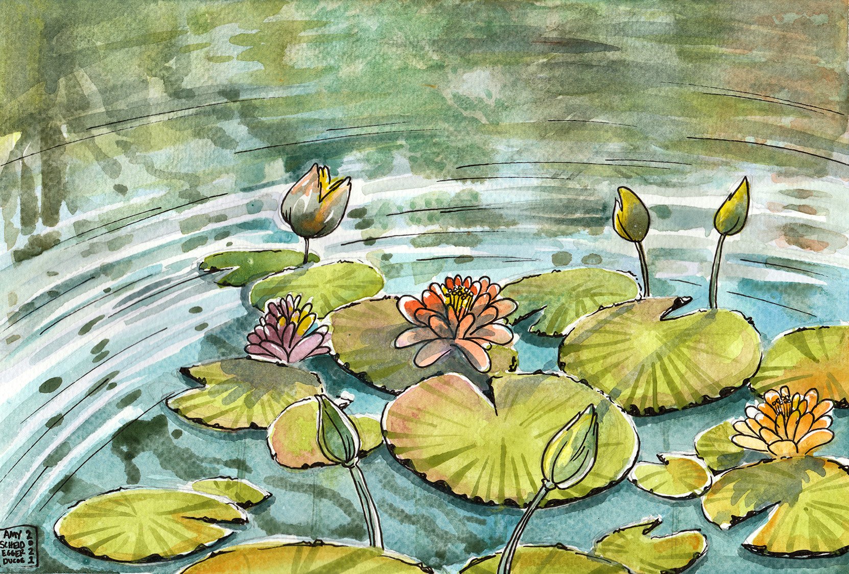 web water 1 (1) (1).jpg