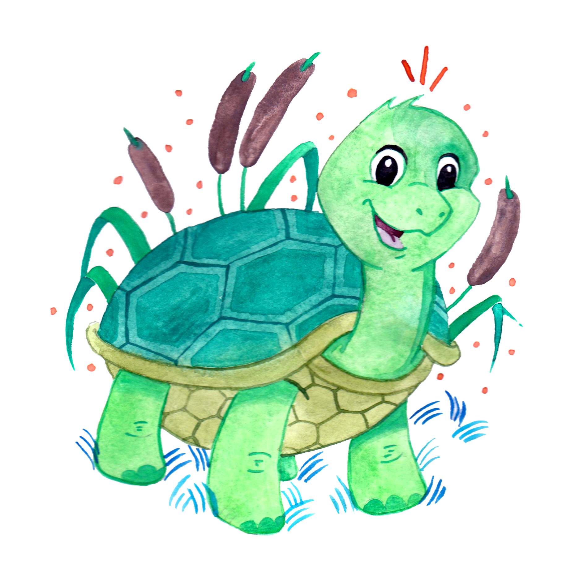 turtle.png