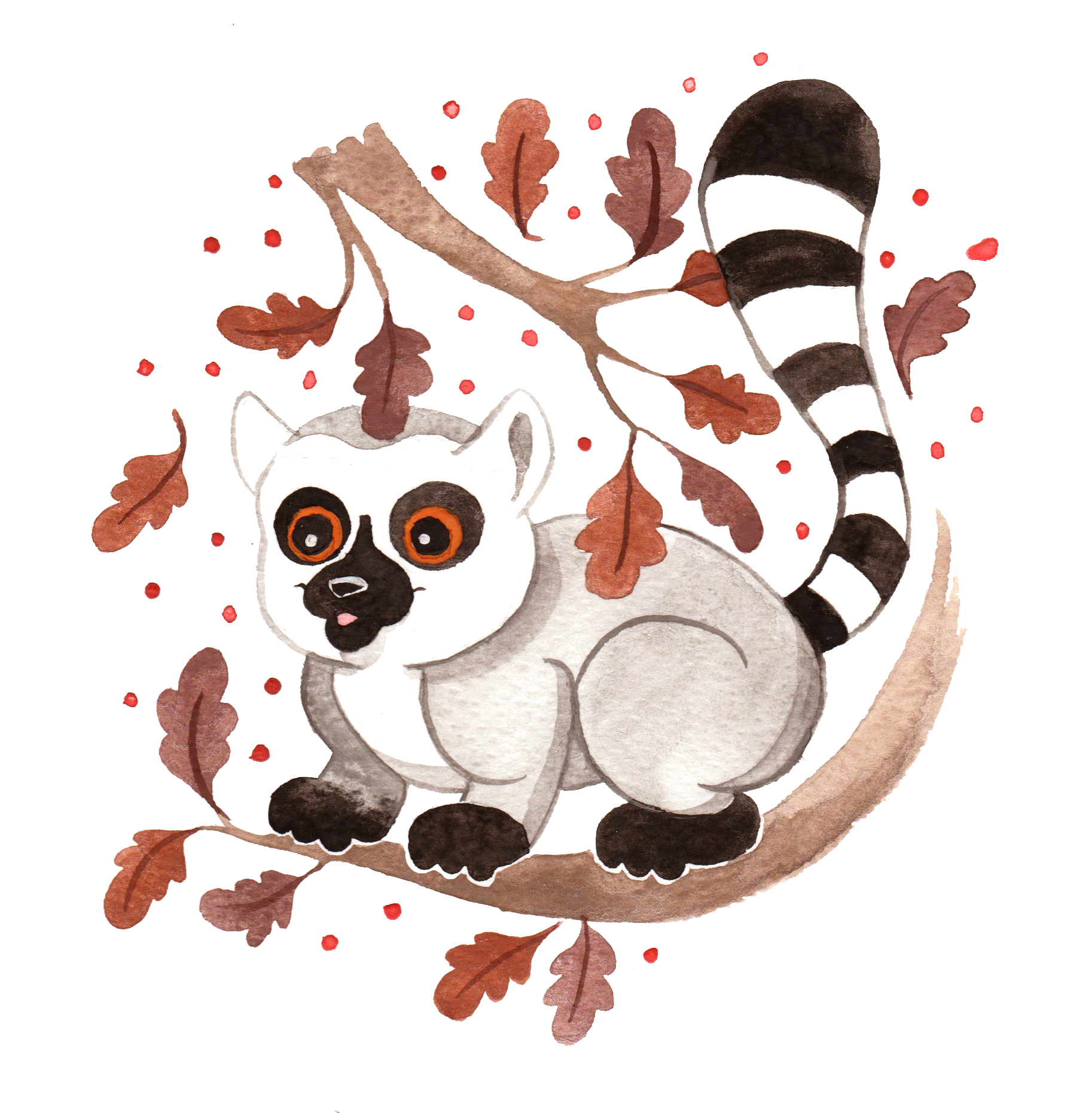 lemur.png