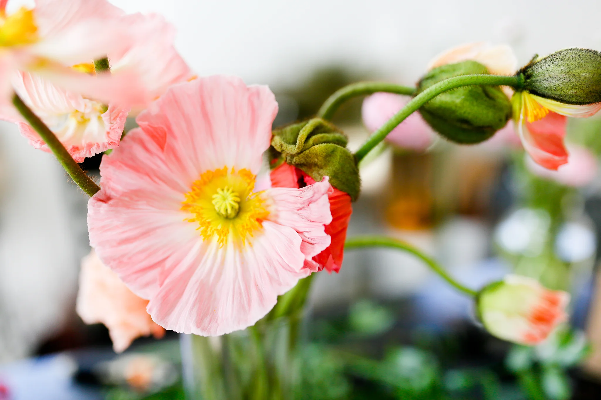 FLOWERS-7.jpg