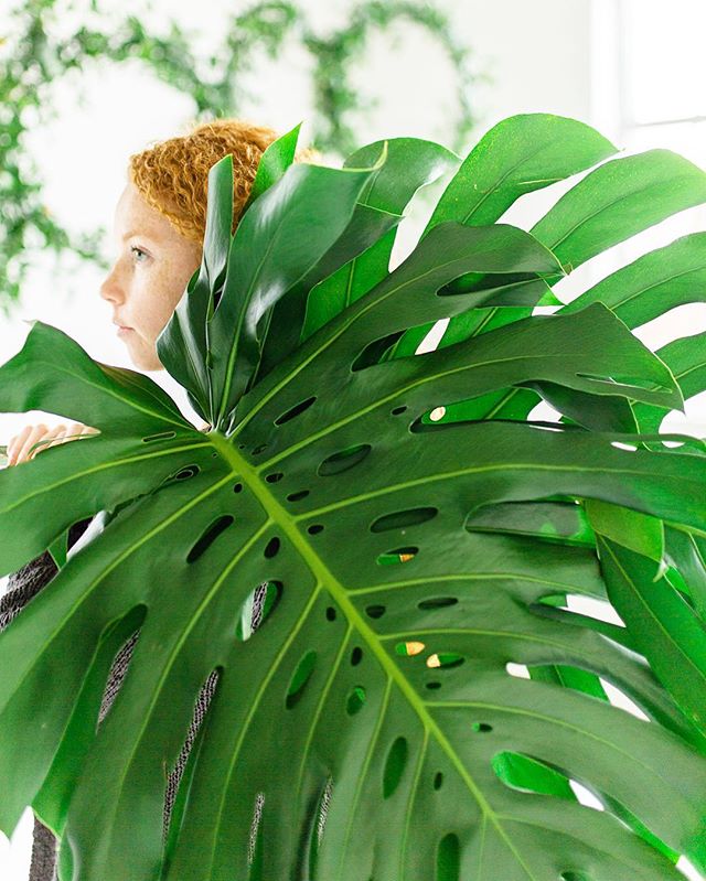 my friend @thebotanicalstudio has huge palms. 😅🙄😬😂