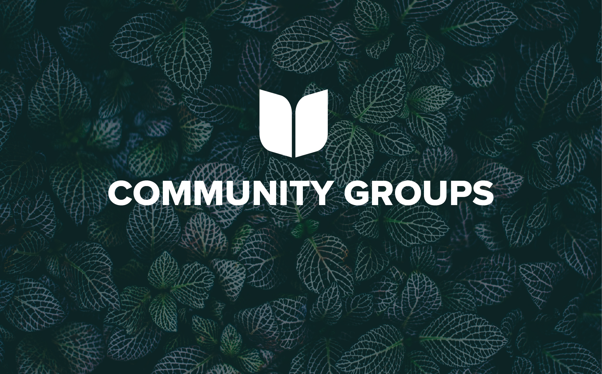 August 24th Community Group Leader Training