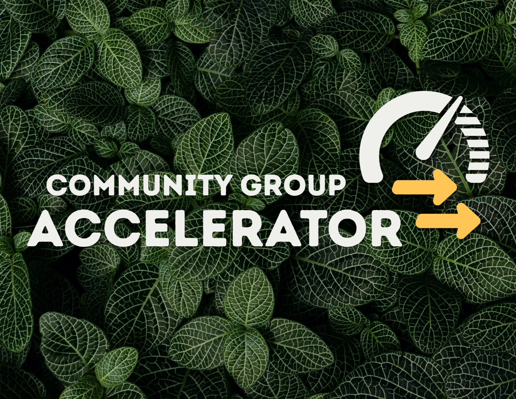 Community Group Accelerator 