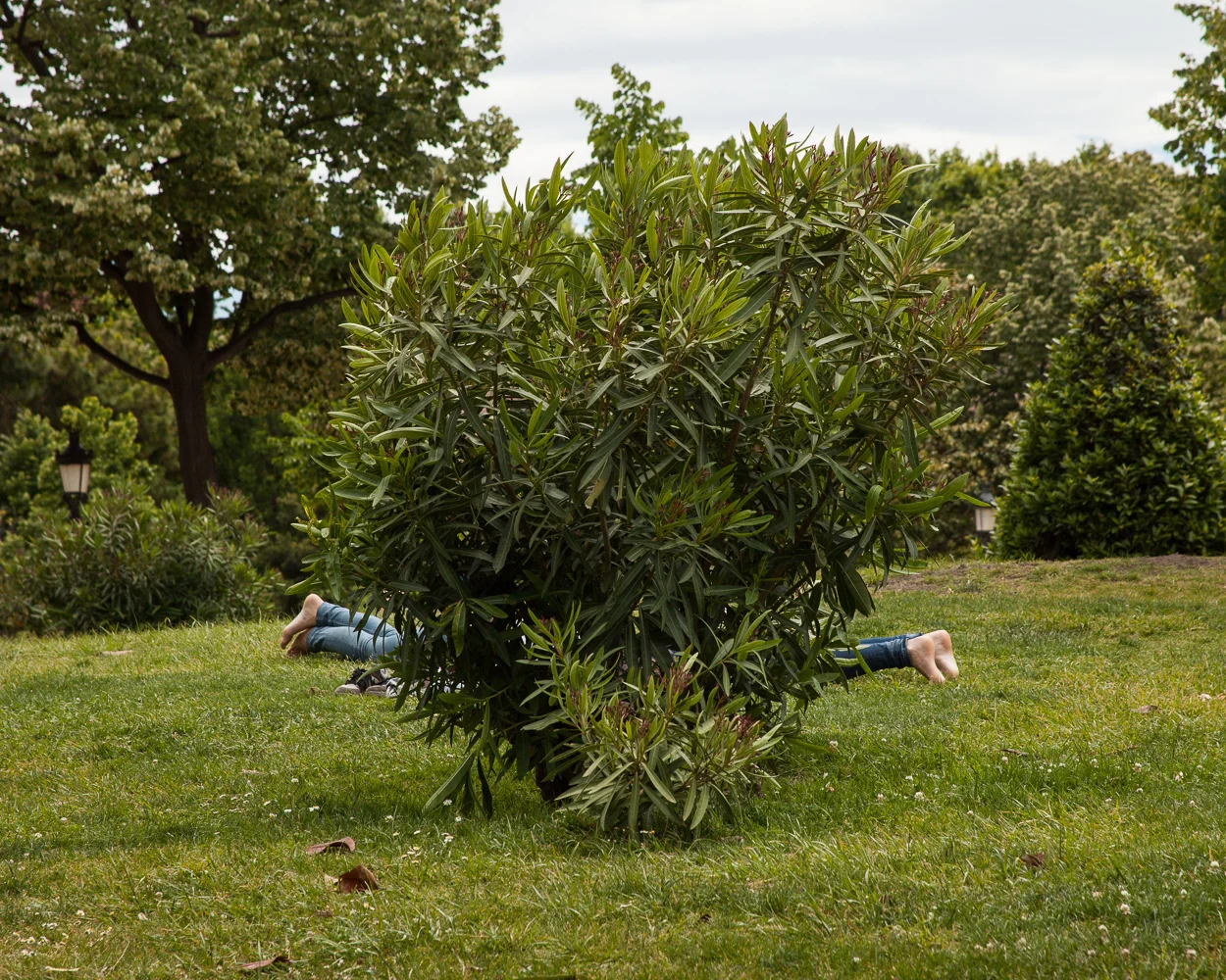 Barcelonapark-13.jpg