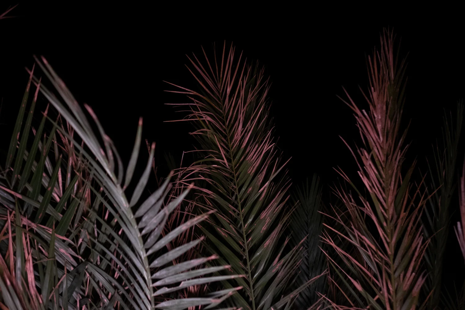 _Warm was the Night-0915.jpg