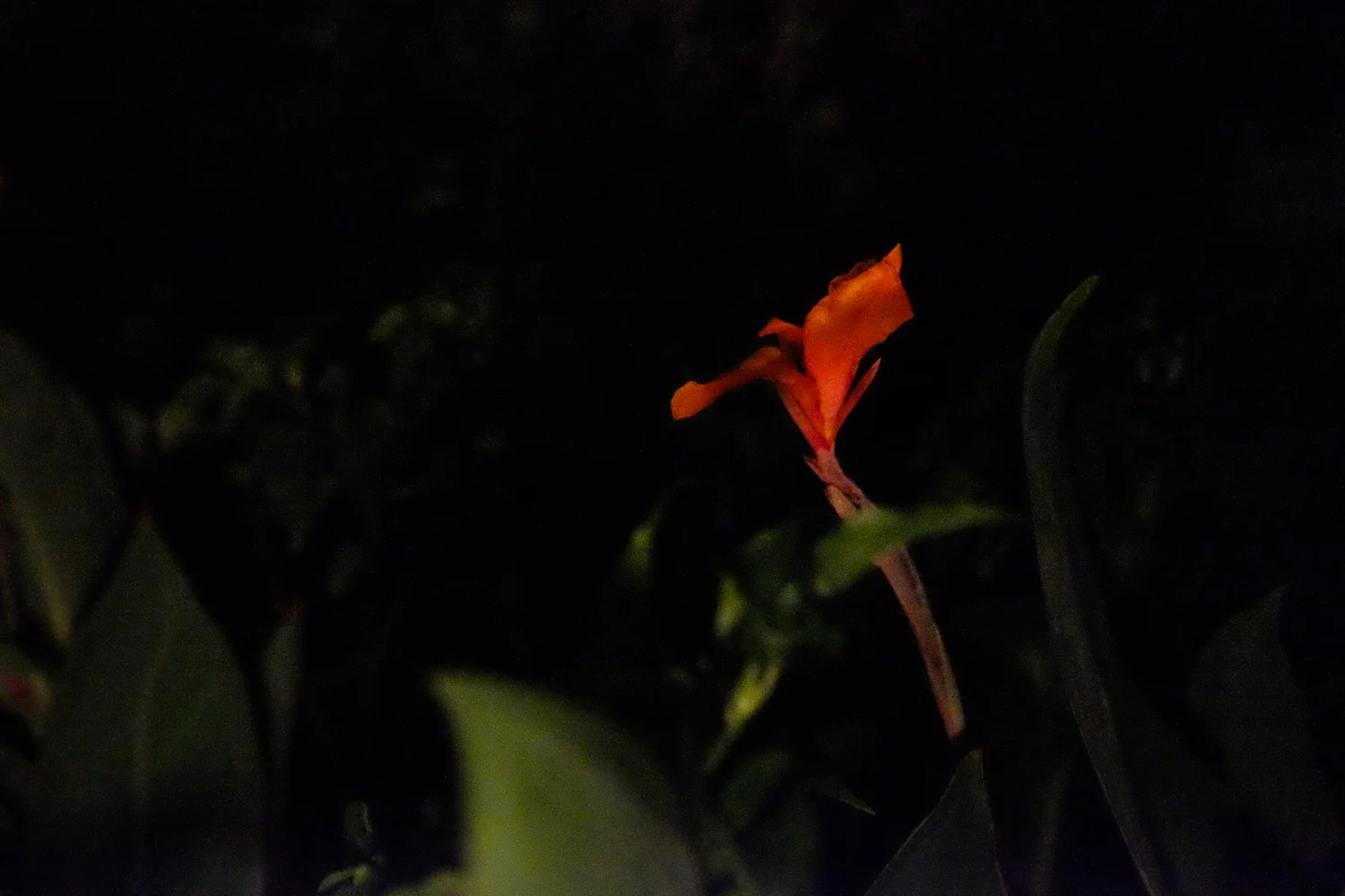 _Warm was the Night-1006.jpg
