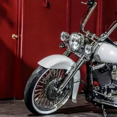 softail_2_1.jpg
