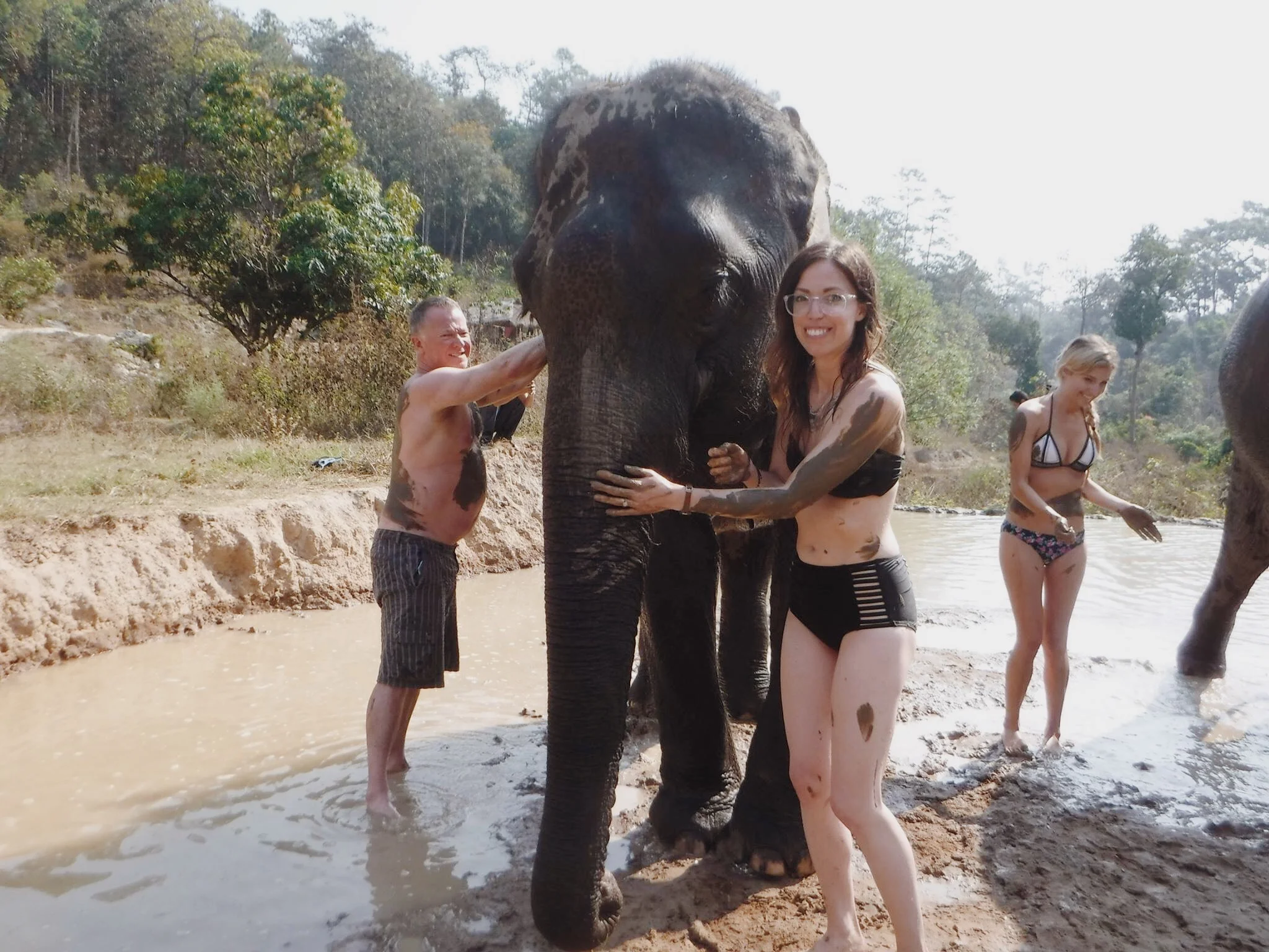 ThailandElephants6.jpg