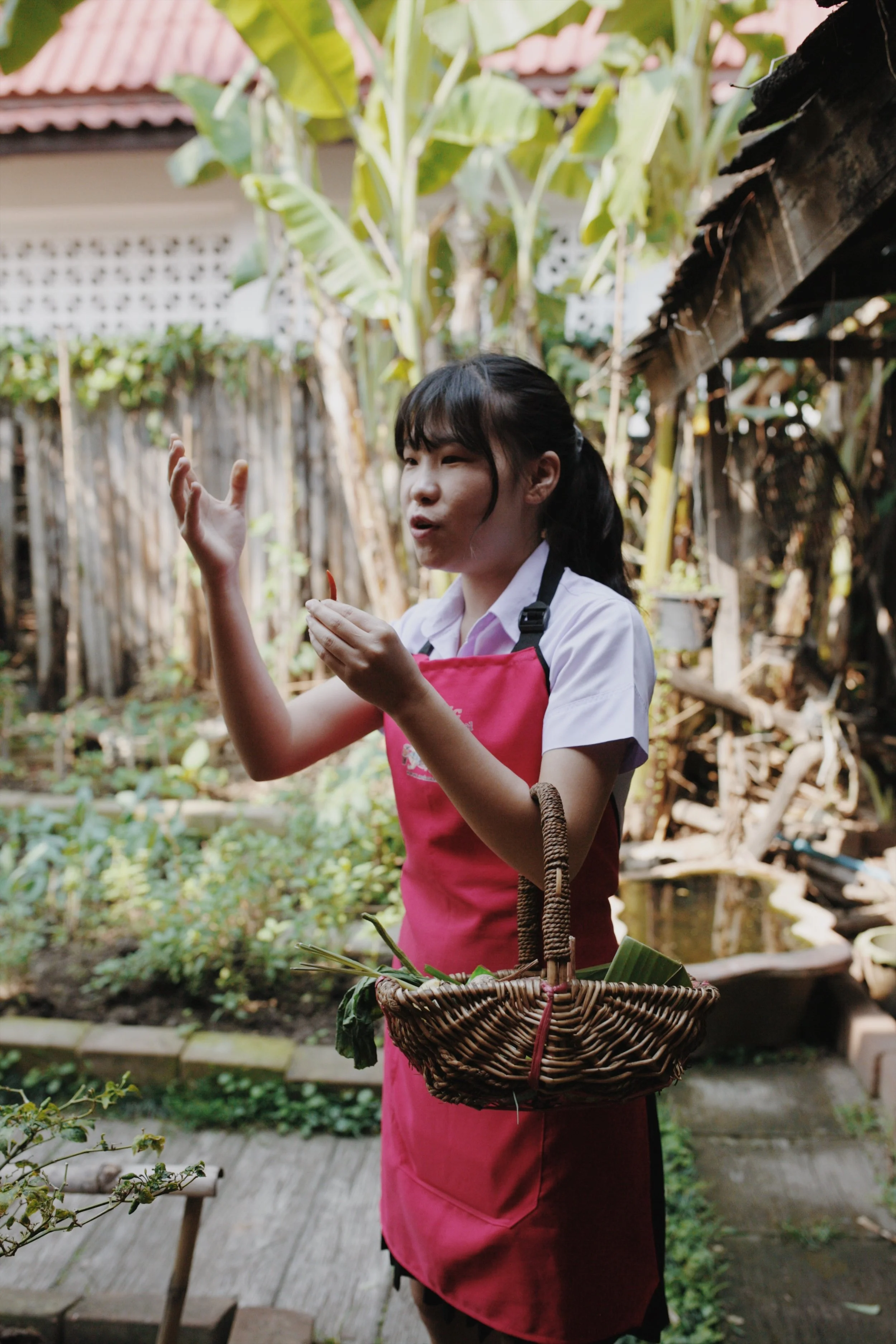ChiangMai.jpg