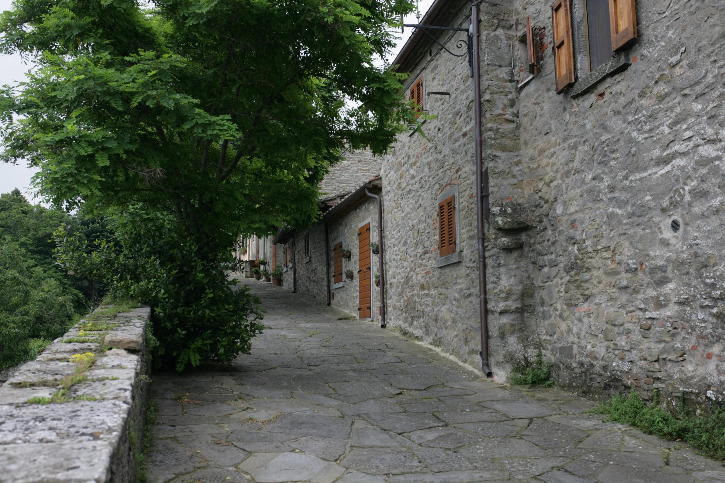 Cortona.jpg