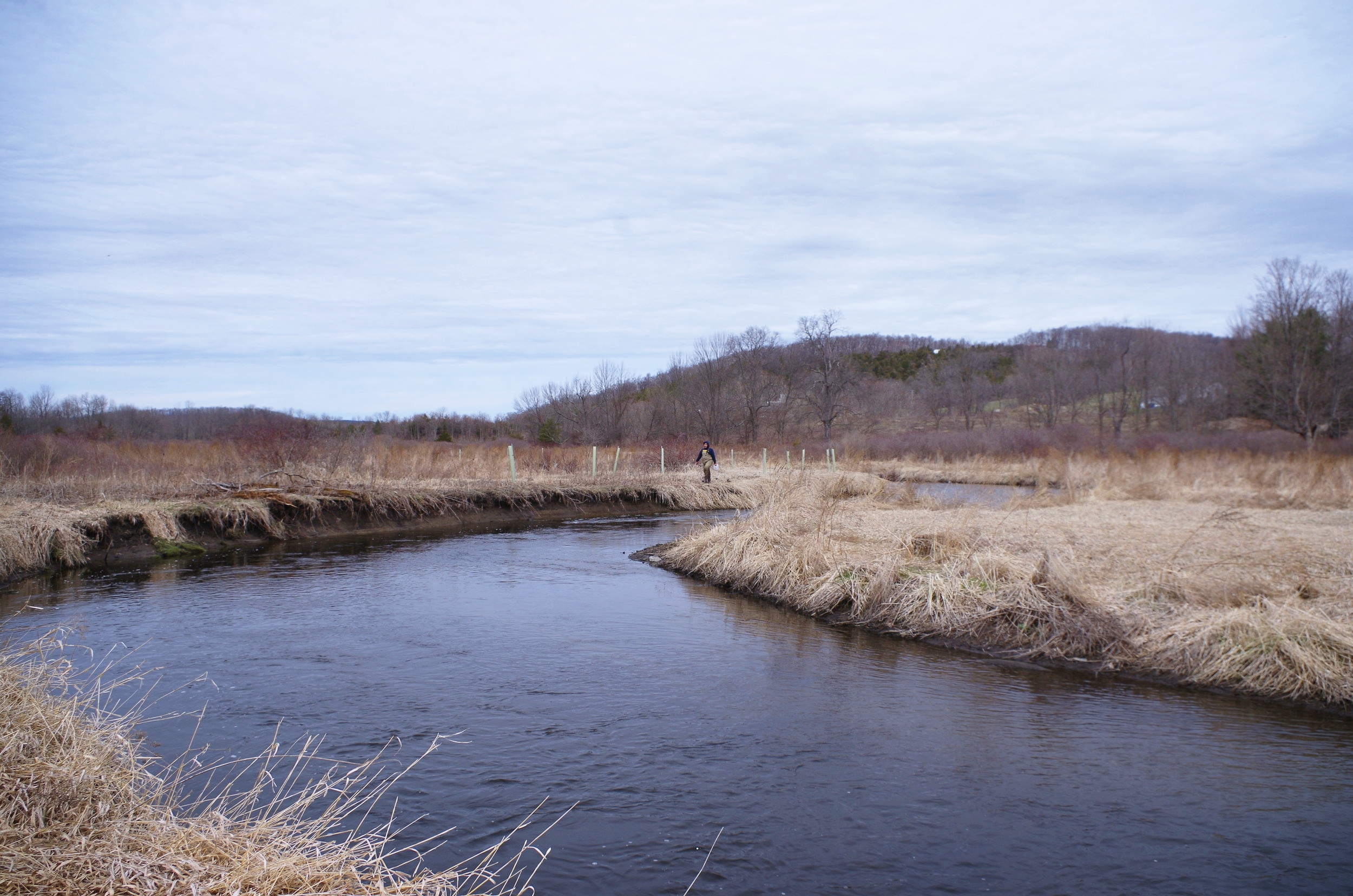 Pictured above: Riparian corridor restoration on the Upper Paulinskill River, New Jersey Highlands Cluster.