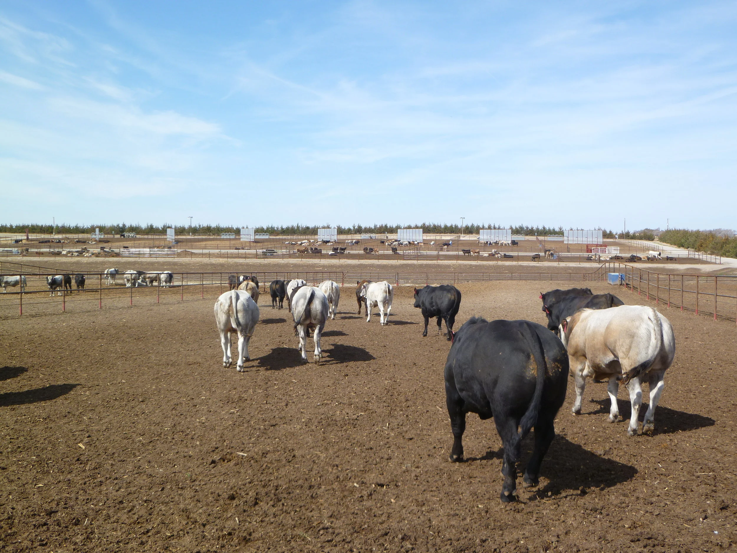 Toro Ranch in Broken Bow, NE