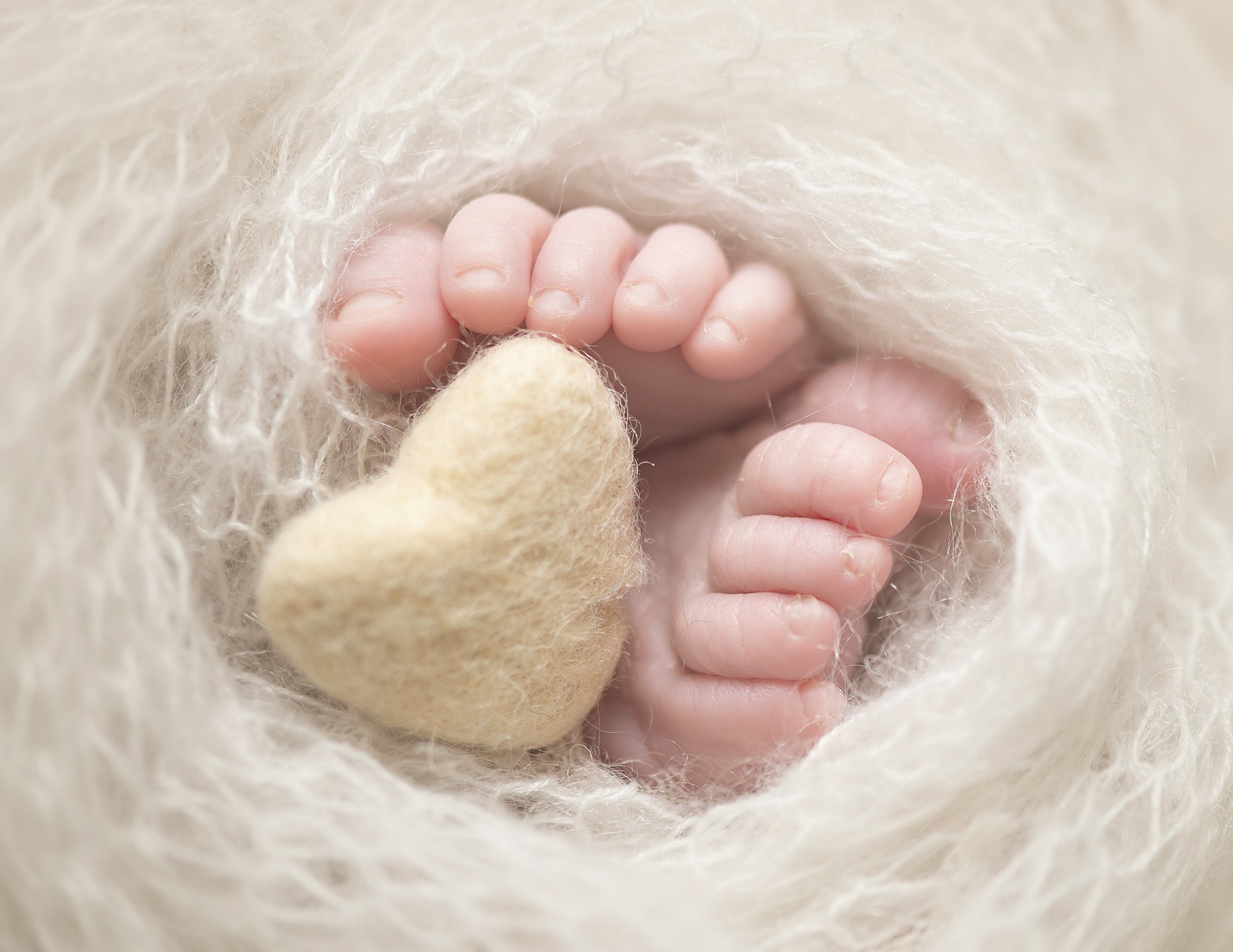 Newborn Photography