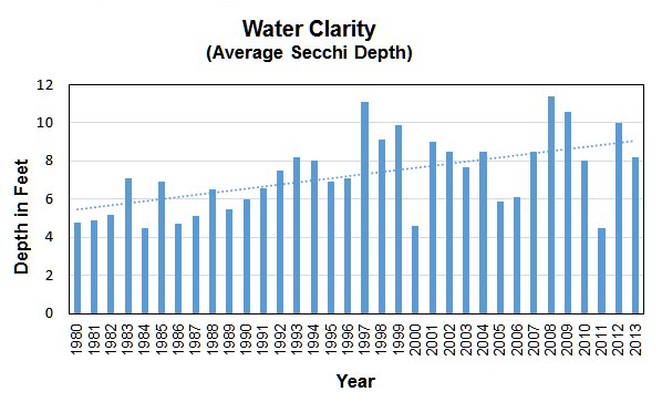 Water Clartity.jpg